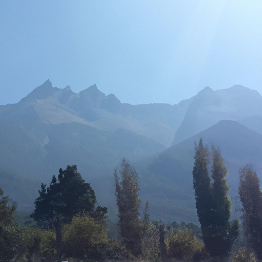 Análisis exhaustivo de la cuenta demo de ExpertOption