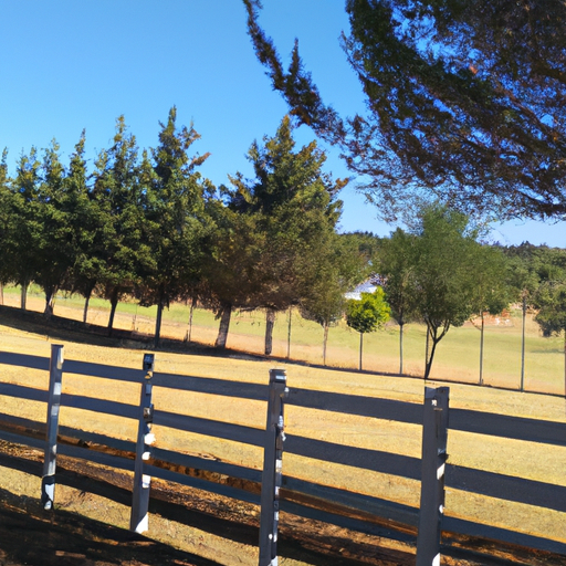 Análisis de la Aplicación Móvil de FXTM: Compatible con Android y Apple