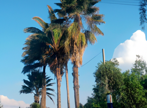 Descubre la Cuenta Demo de FXTM: Análisis Completo