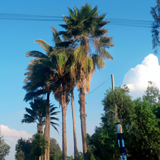 Descubre la Cuenta Demo de FXTM: Análisis Completo