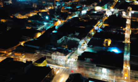 Colombia se Une a la Experiencia CapitalBear: Conoce Más Aquí