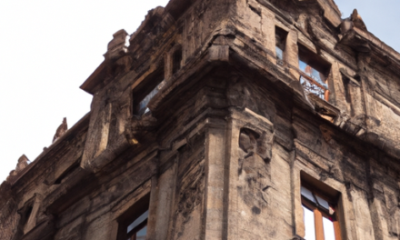 CapitalBear: Análisis Exhaustivo de la Cuenta de Demostración